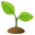 :plant: